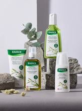 Load image into Gallery viewer, Rausch Spray Districante alle Erbe Svizzere 100 ml